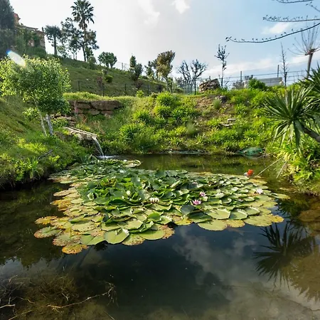 Дом отдыха Casa Da Encruzilhada