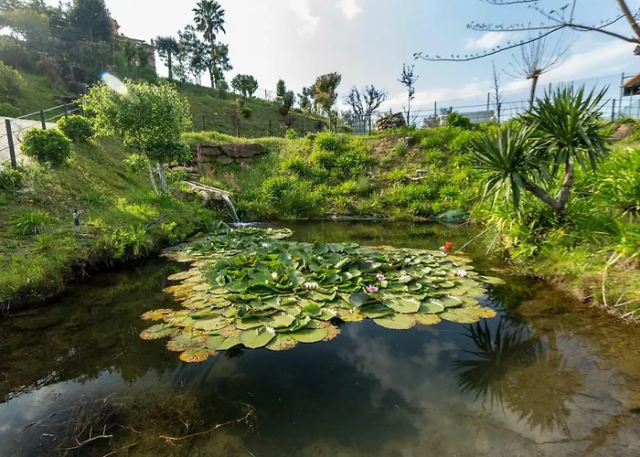 Ferienhaus Casa Da Encruzilhada
